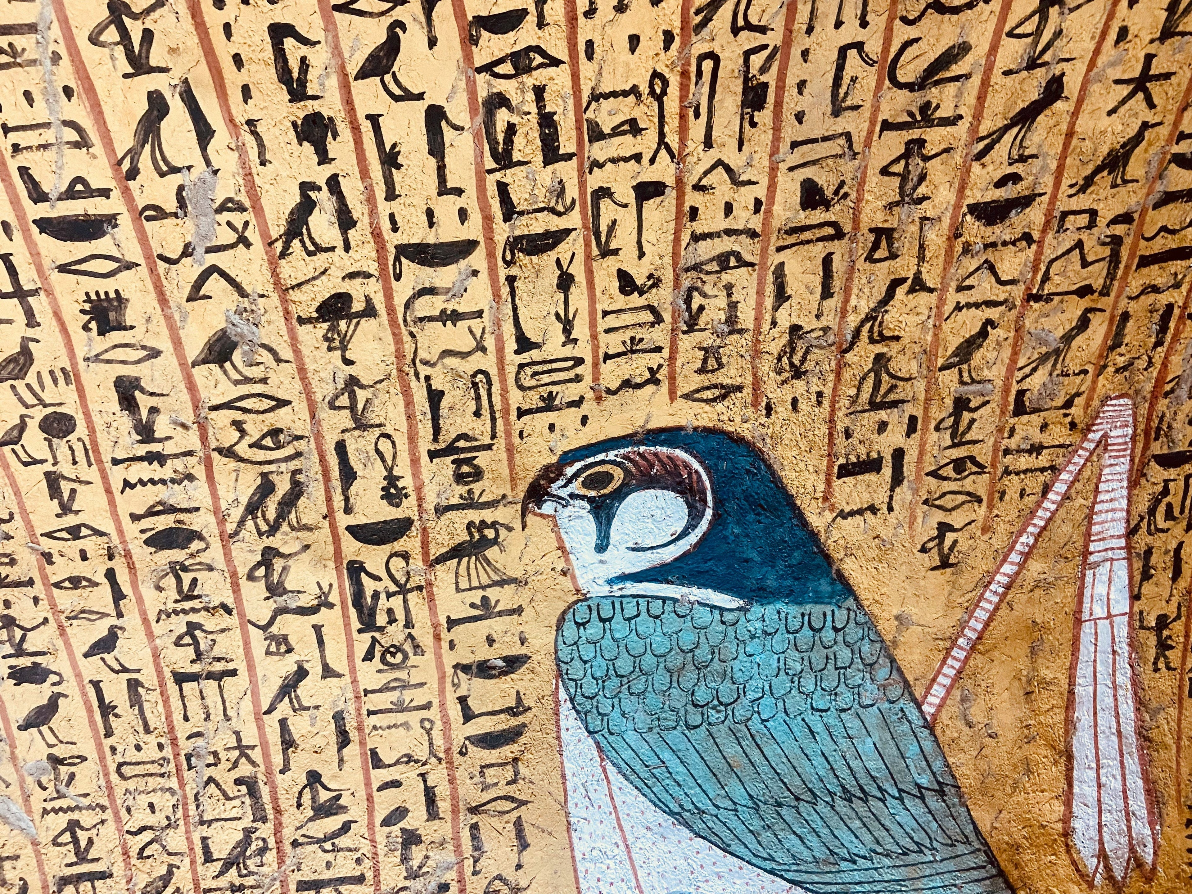 Birds of Prey in Art: How History Connects Us to Conservation