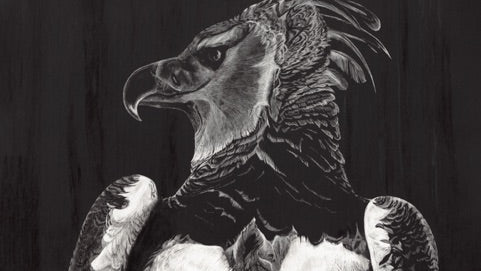 The animals behind the art