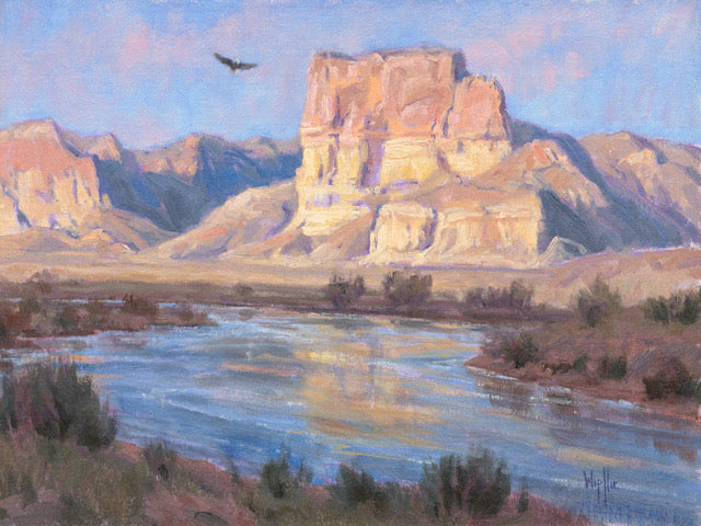 Kathy Wipfler