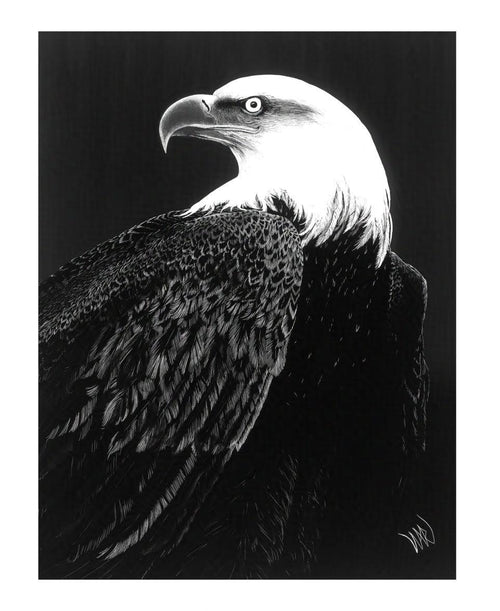 Black and white drawing of an eagle on a black background