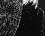detailed eagle feathers zoomed in