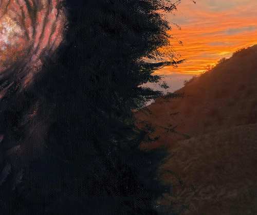 closeup of vulture against a sunset background